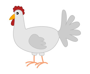 A white chicken isolated in profile on a white background