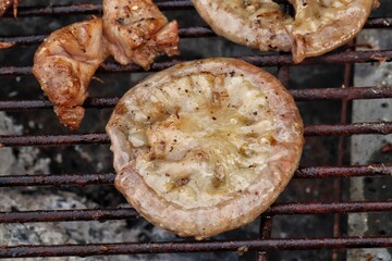 grilled meat on the grill