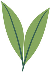 leaf vector