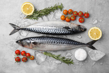 Raw mackerel, tomatoes and rosemary on light gray table, flat lay