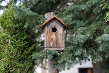 wooden bird house in the garden