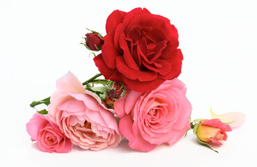 Fototapeta na wymiar bouquet of red and pink roses on white background, festive bouquet