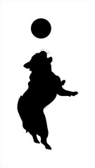 Silhouettes of a Pug Dog Jumping to Catch a Ball
