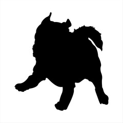 Cute Pug Dog Running Silhouette