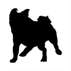 Silhouette of a Pug Dog Running Slowly