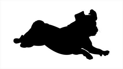 Silhouette of a Pug Dog Running Fast