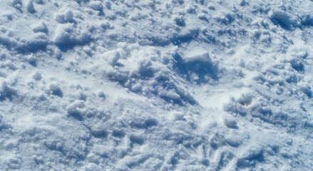 Obraz premium Schnee 