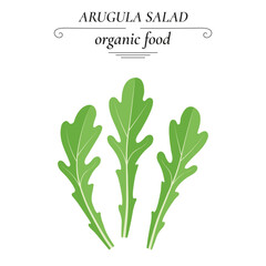 Vector icon, arugula salad, flat design. Green vegetables, healthy food.