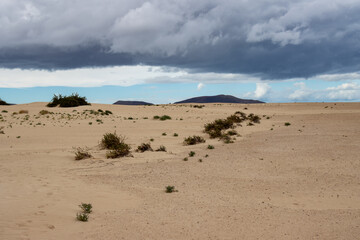 Naklejka premium Sand dunes and cloudy sky, Fuerteventura, Spain
