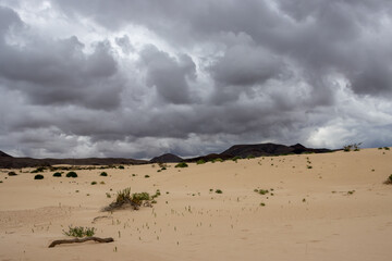 Desert and a cloudy sky, Corralejo, Spain