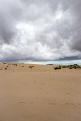 Fototapeta na wymiar Desert and a cloudy sky, Corralejo, Spain