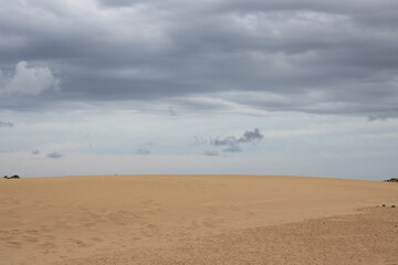 Fototapeta na wymiar Desert and a cloudy sky, Corralejo, Spain