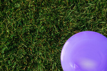 leisure games, toys and sport concept - close up of flying disc or frisbee on grass