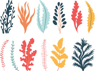 seaweed set in flat style isolated vector