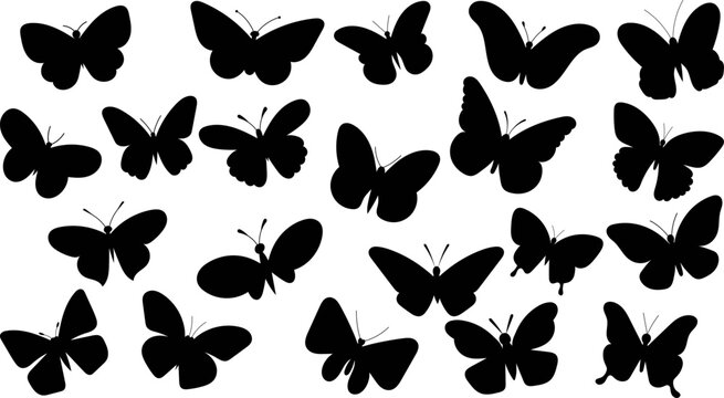 butterfly silhouette set isolated vector
