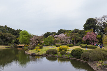 Fototapeta na wymiar lake in the japanese garden 