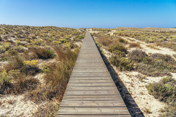 Wooden footpath to the Farol beach in the Culatra island in the Algarve region of Portugal in a sunny day.