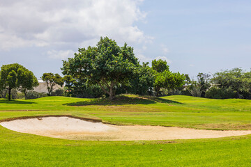 Fototapeta premium Beautiful view of green grass golf field on Aruba island. 
