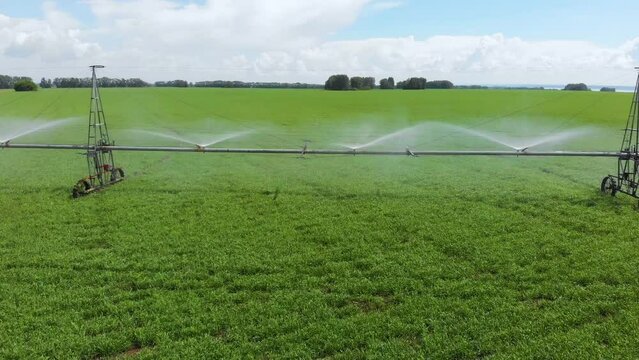 Irrigation pivot system watering agriculture field. Aerial view drone shot of irrigation system rain guns sprinkler on agricultural wheat field help to grow plants in dry season, increases crop yields