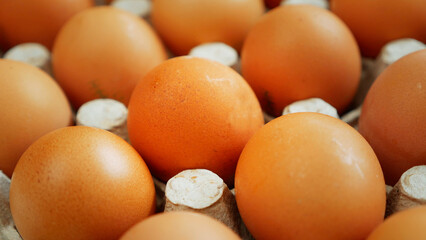 chicken eggs in a box