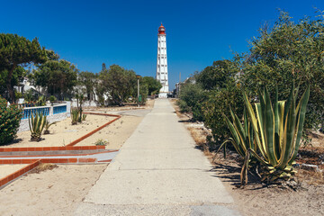 Fishing village of Farol in the Culatra island with its traditional houses in a sunny day with the...