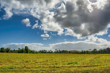 Beautiful countryside of Queensland - Australia