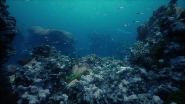 Shallow ocean floor with coral reef and fish