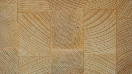 Texture of the wood. Background