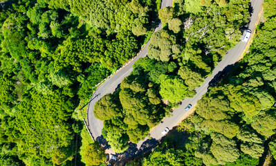Downward aerial view of a beautful windy road across a forest