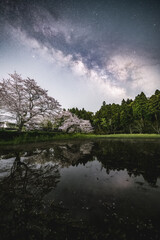 Fototapeta na wymiar 水面に映る桜天の川