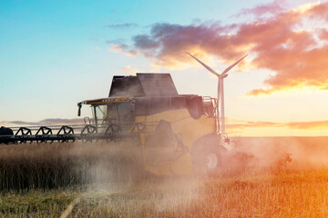 Wheat harvesting in the summer season by a modern combine harvester. Farmers securing food supply...