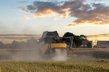 Fototapeta premium Wheat harvesting in the summer season by a modern combine harvester. Farmers securing food supply and feeding the nation
