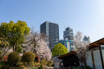 Fototapeta na wymiar 大阪天王寺公園エントランスエリア“てんしば”から見える建物（2023年4月1日撮影）