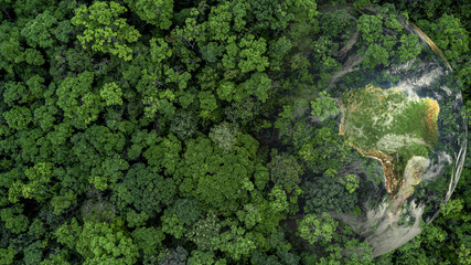 Aerial top view green forest with globe earth, Green planet in your hands, Save Earth, Texture of...