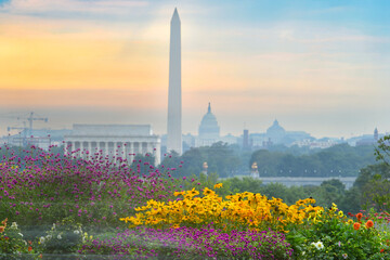 Washington D.C. skyline at sunrise with major monuments and spring flowers in view - Washington...