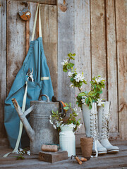 Garden tools and spring flowers garden terrace on a wooden background.