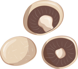 Portobello Mushroom edible mushroom for food