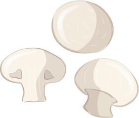 Button Mushroom edible mushroom for food