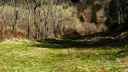 Very nice green meadow, right next to beautiful lake.