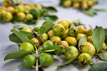 
Chinese guava in victoria town market, Mahe Seychelles