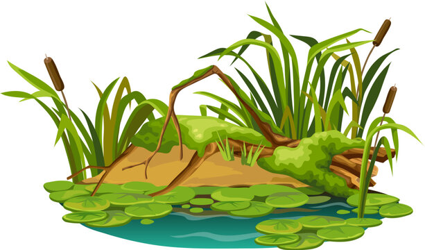 Stump in moss in marsh. Cartoon log in swamp jungle. Broken tree oak, salvinia, water lily. Isolated vector element on white background.