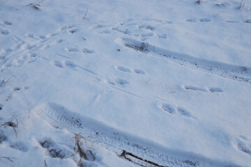 Fototapeta na wymiar tire tracks on a snowy road