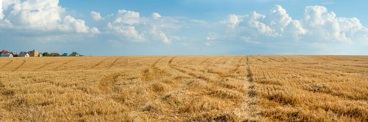 stubble in wheat field during harvest, patterns, beautiful clouds and village and houses on horizon