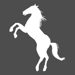 Obraz na płótnie Canvas Vector White Silhouette Rearing Horse