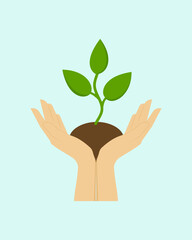 Hands holding a piece of soil from which grew a sprout with leaves. Flat style. 