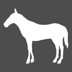 Vector White Silhouette of Horse