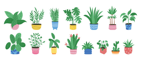 House plants set, cute pot decor. Flowerpots collection, home cactus and succulent garden, tropical ficus in interior, palm leaf. Interior objects. Vector garish cartoon flat illustration