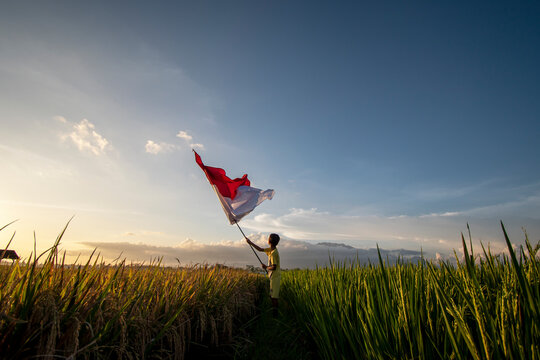 Little boy carrying a red and white flag. in the photo from behind.