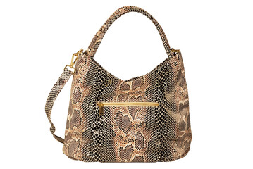 Isolate of a women's bag with a python skin