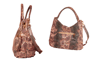Isolate of a fashionable handbag with imitation of python skin